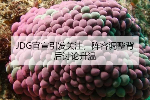 JDG官宣引发关注，阵容调整背后讨论升温